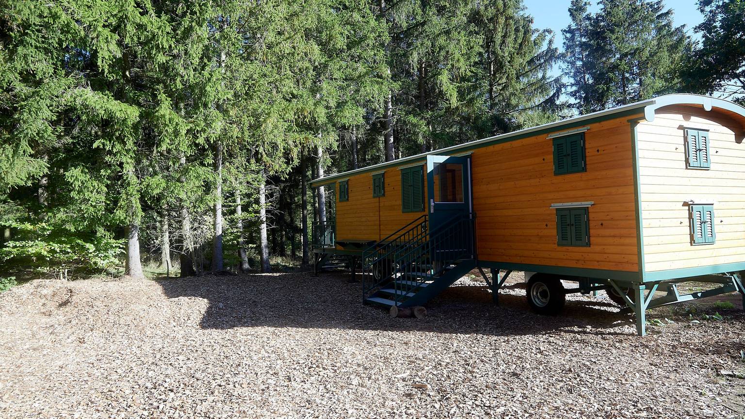 Ein Bauwagen in einem Waldkindergarten steht vor Bäumen bei Sonnenschein.