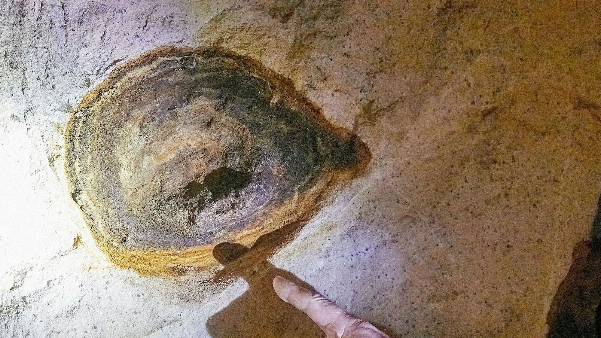 Eine „Tutte“ ist eine Knolle aus Eisen und Mangan inmitten des Sandsteins.