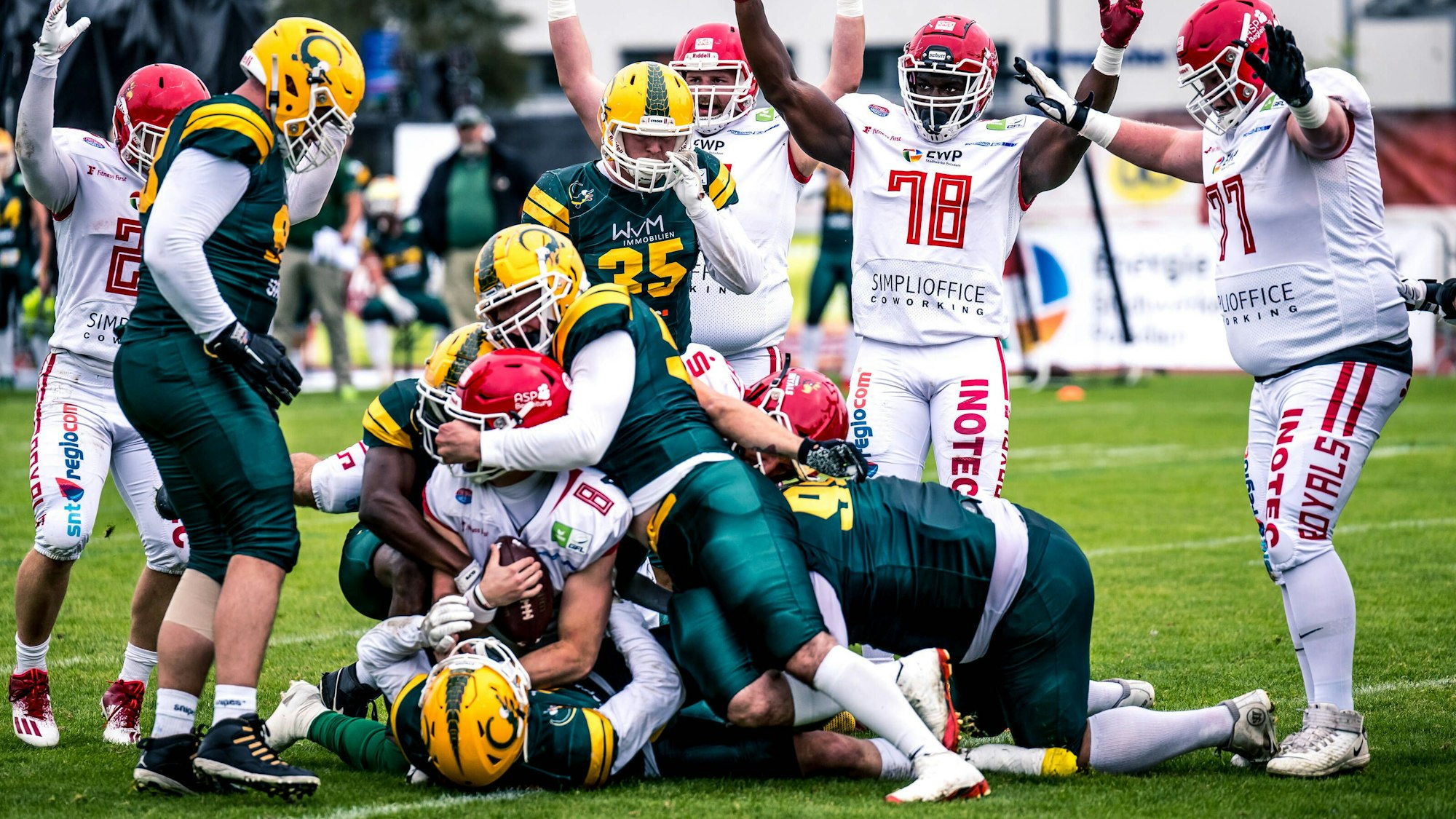 GFL Play Off Halbfinale: Potsdam Royals - Cologne Crocodiles 24.09.2022 Potsdam Royals - Cologne Crocodiles *** GFL Play Off Semifinals Potsdam Royals Cologne Crocodiles 24 09 2022 Potsdam Royals Cologne Crocodiles Copyright: xBEAUTIFULxSPORTS/NicolxMarschallx