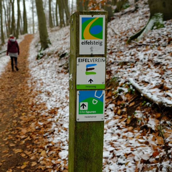 Ein Pfahl hat drei Embleme für Wanderrouten. Dahinter ist ein Weg zu sehen. Laub ist vereist.