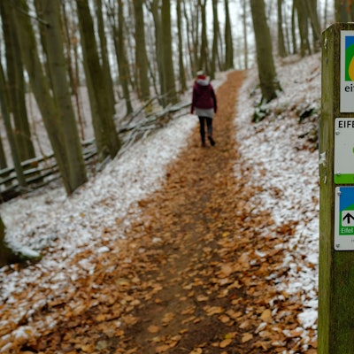 Ein Pfahl hat drei Embleme für Wanderrouten. Dahinter ist ein Weg zu sehen. Laub ist vereist.