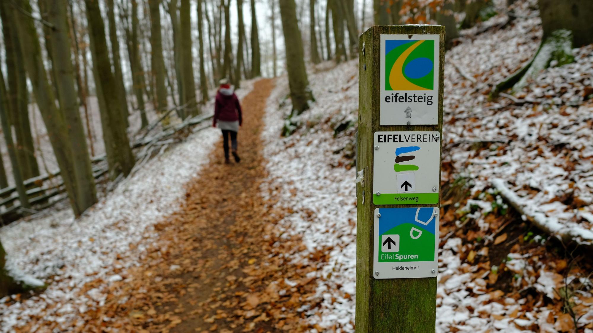 Ein Pfahl hat drei Embleme für Wanderrouten. Dahinter ist ein Weg zu sehen. Laub ist vereist.