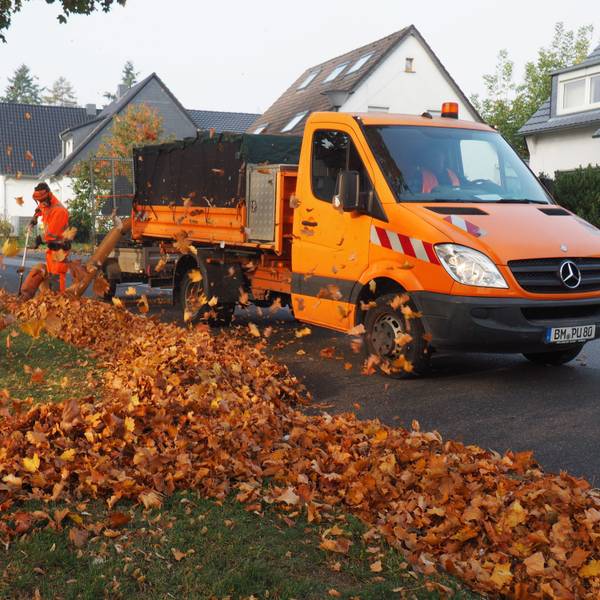 Zwei städtische Mitarbeiter räumen Laub im Herbst.