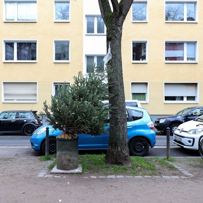 Ein ausrangierter Weihnachtsbaum am Neujahrstag auf der Moltkestraße