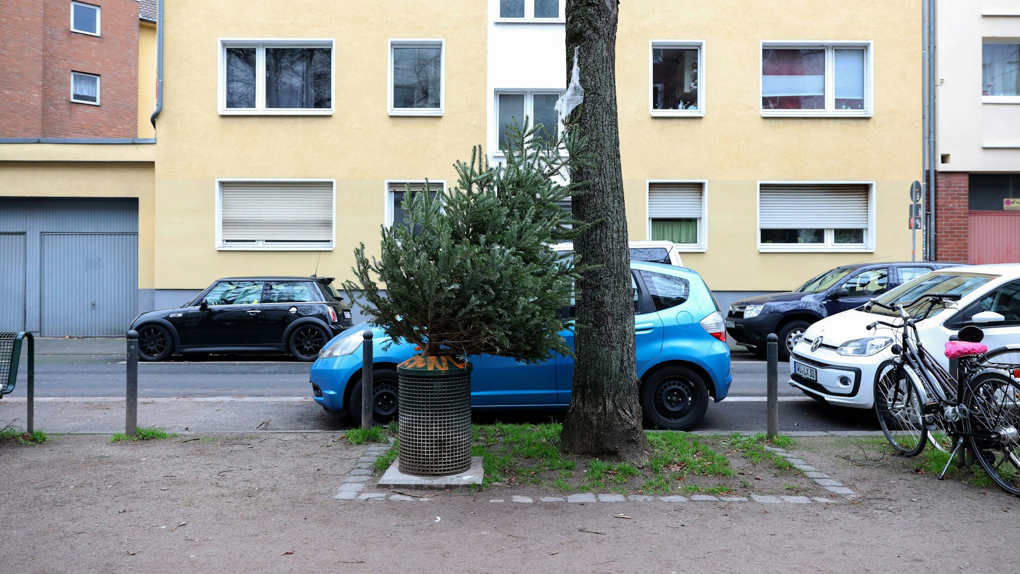 Ein ausrangierter Weihnachtsbaum am Neujahrstag auf der Moltkestraße