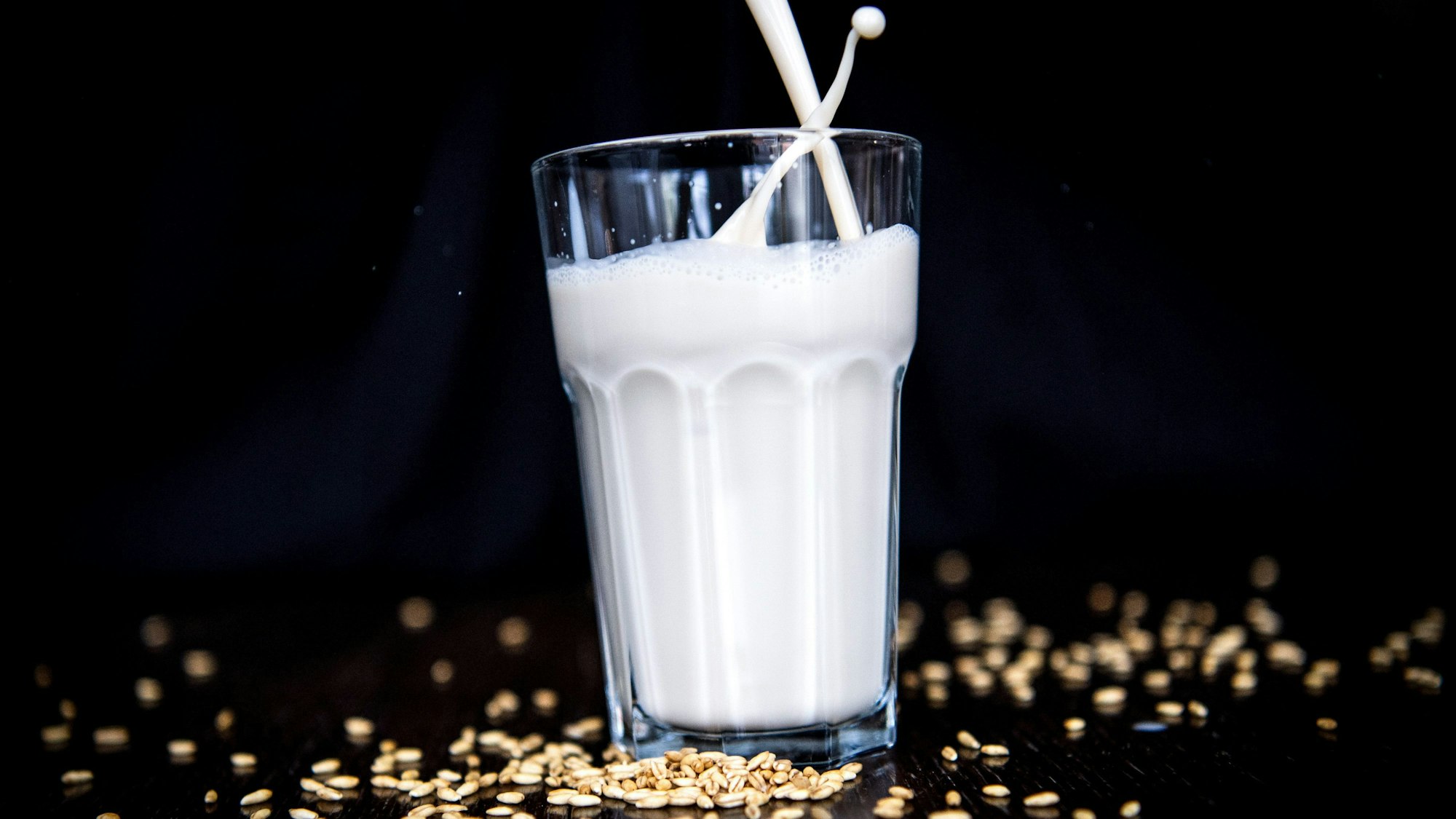 Siegeszug der Hafermilch: Ein Glas mit weißer Flüssigkeit, außen herum roher Hafer.