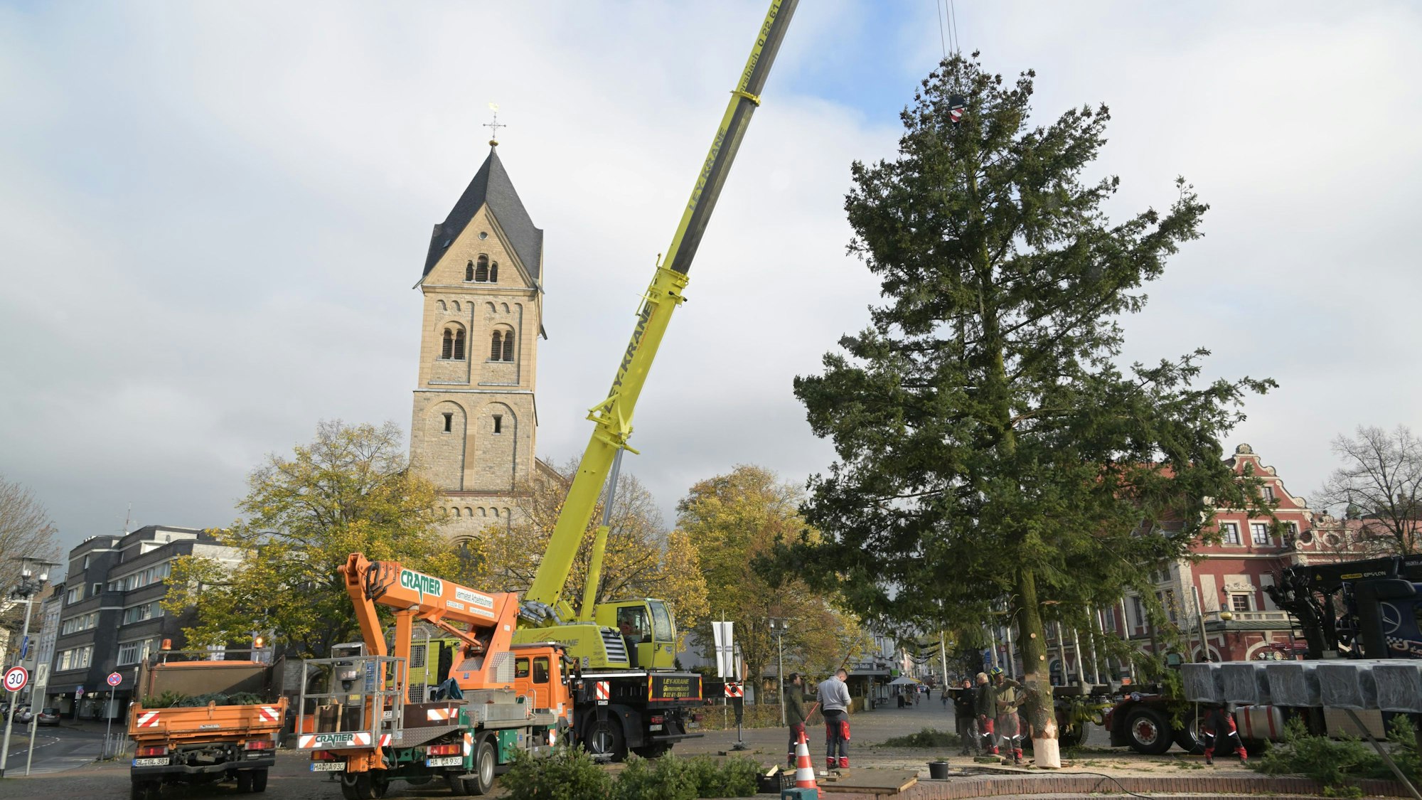 Das Foto zeigt, wie der Weihnachtbaum auf dem Konrad-Adenauer-Platz in Bergisch Gladbach aufgestellt wird.