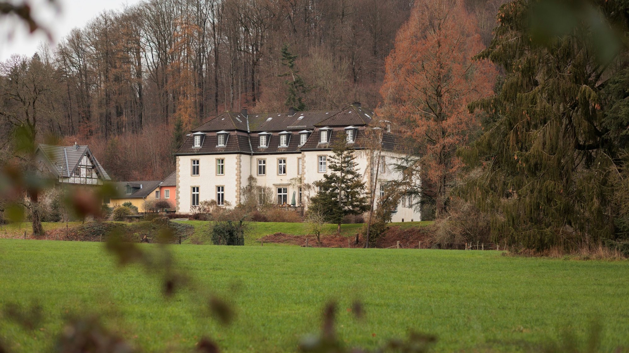 Haus Alsbach durch die Zweige eines Baumes fotografiert.