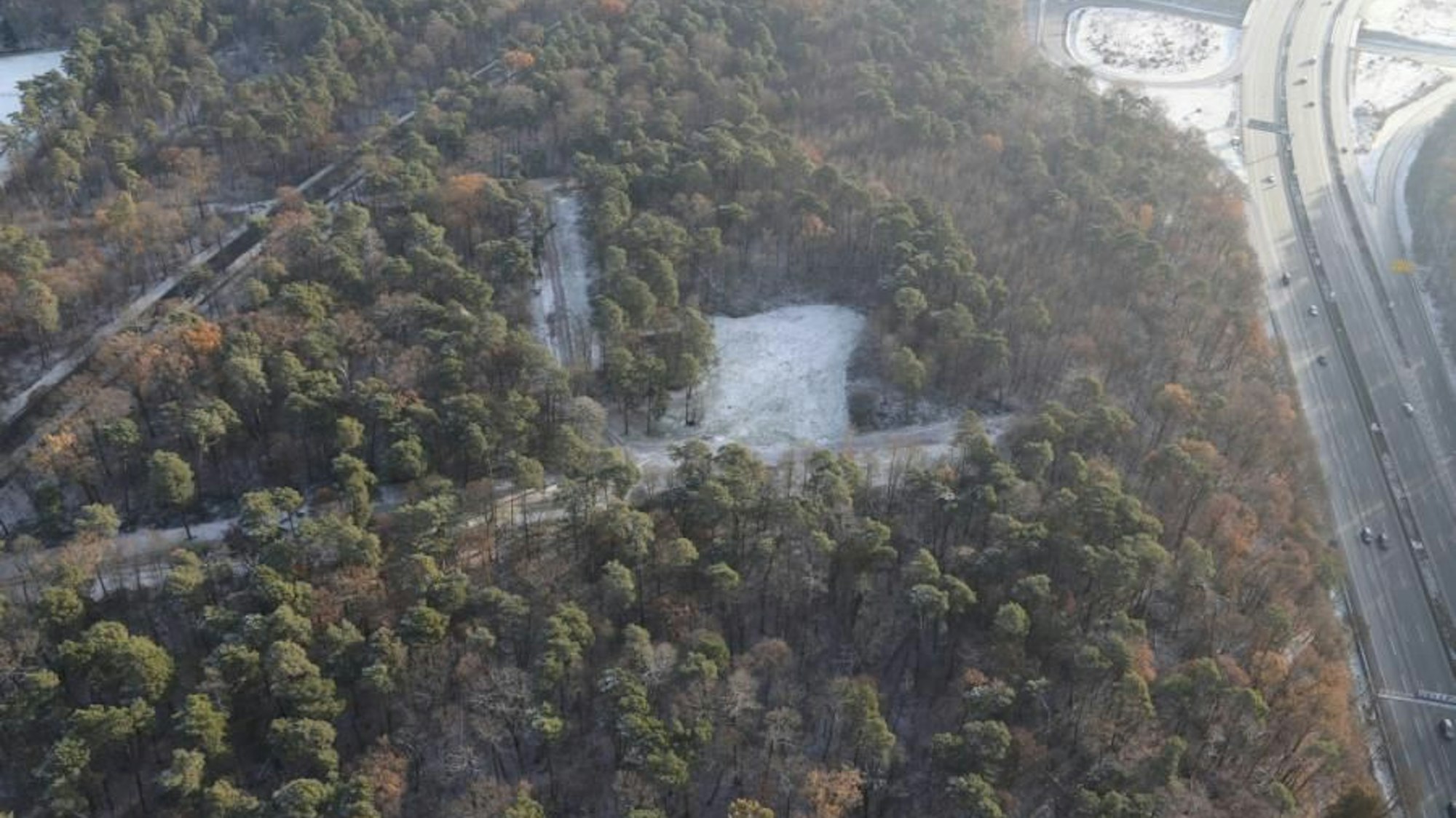 In diesem Waldstück im Königsforst soll die Tat sich ereignet haben.
