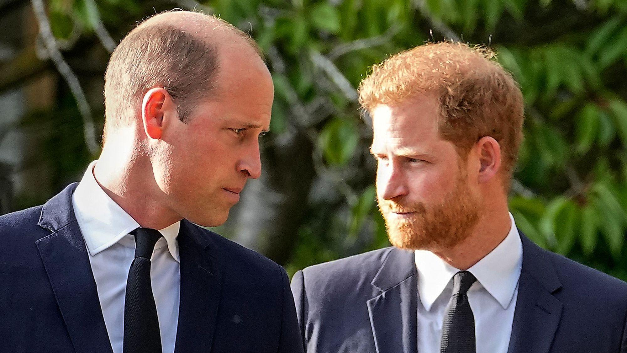Prinz William und sein jüngerer Bruder Prinz Harry.