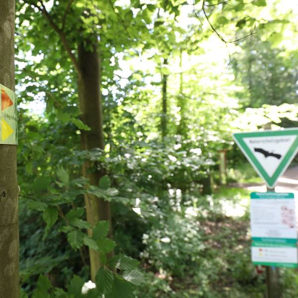 Wanderweg-Schilder an einem Baumstamm im Wald