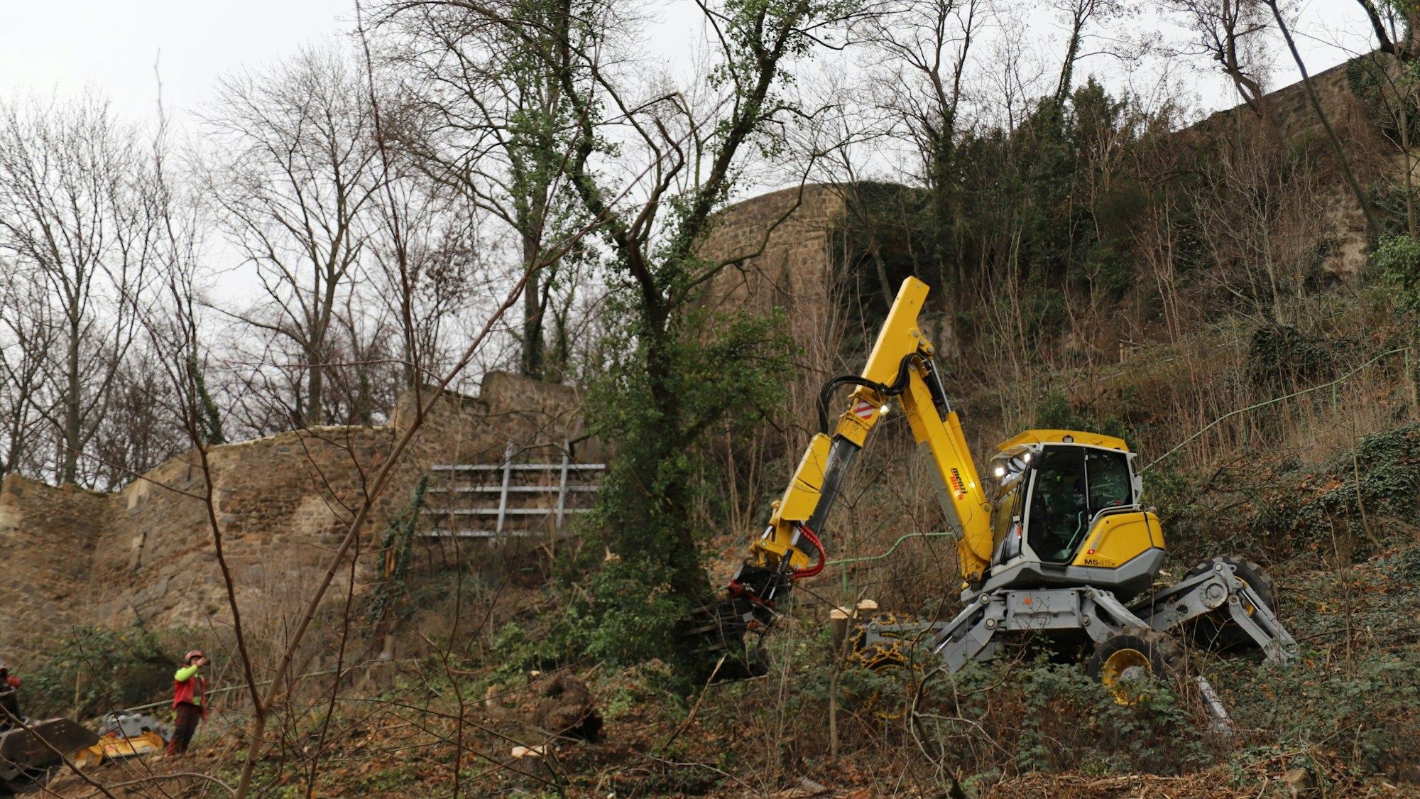Ein Schreitbagger steht an einem Hand und holzt Bäume ab.