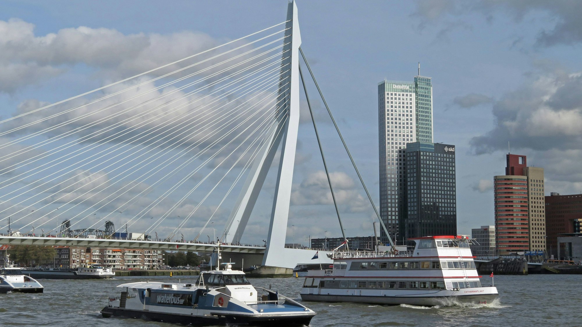 Wassertaxi und Wasserbusse in Rotterdam