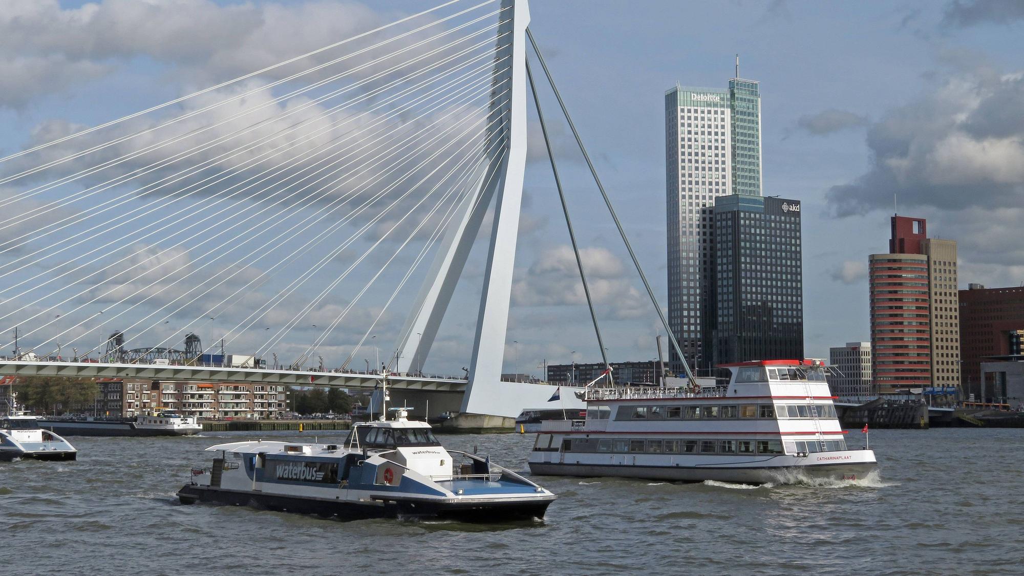 Das Bild zeigt unter anderem einen Wasserbus vor der Erasmus-Brücke in Rotterdam, dahinter sind Häuser zu sehen.