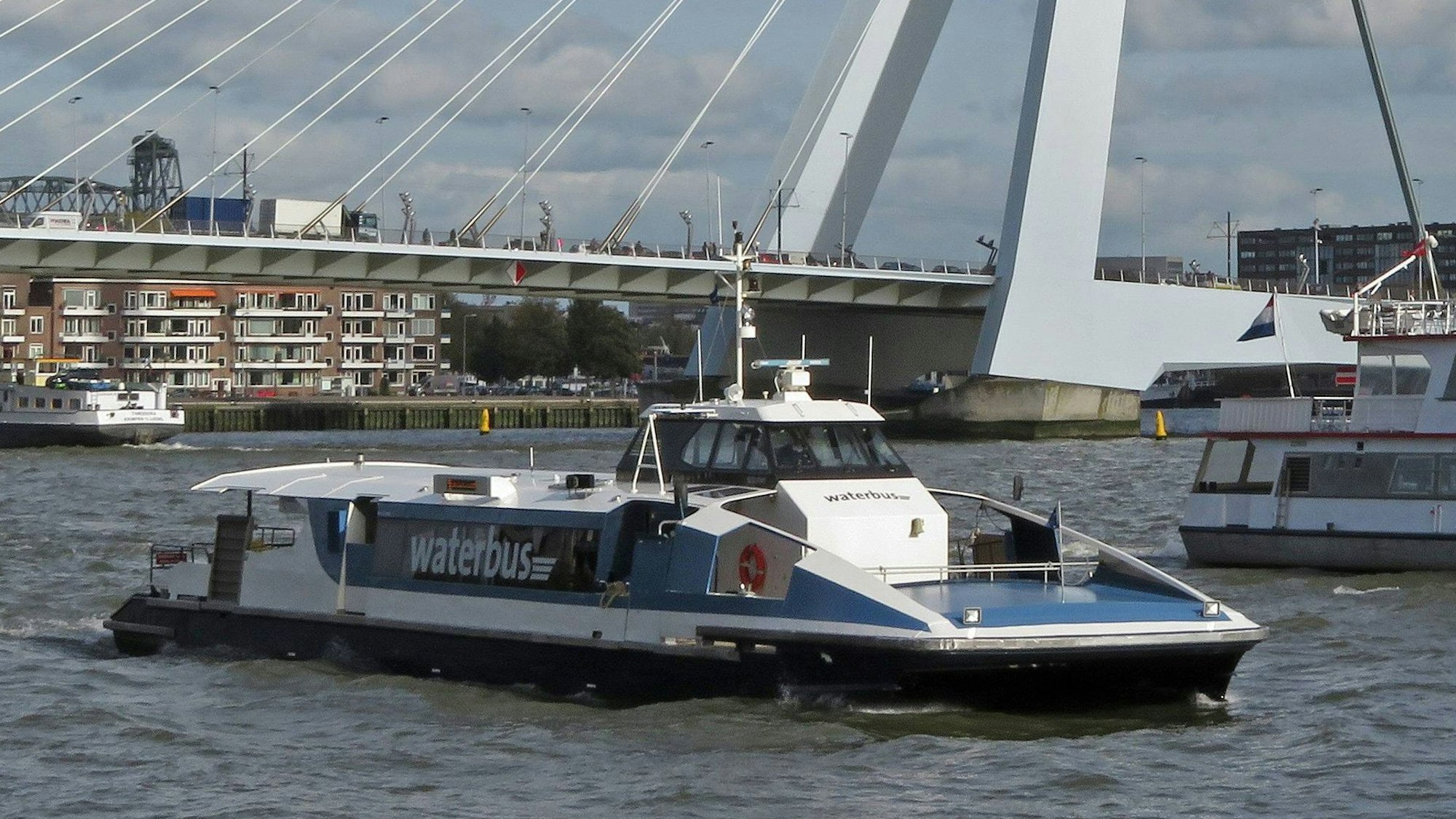 Ein Wasserbus in Rotterdam