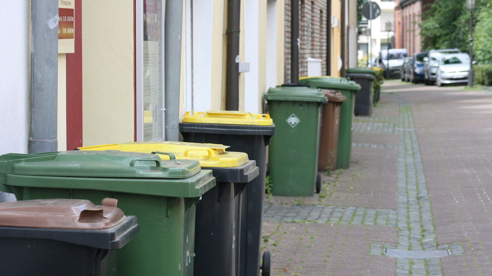 Mülltonnen stehen an einer Straße.