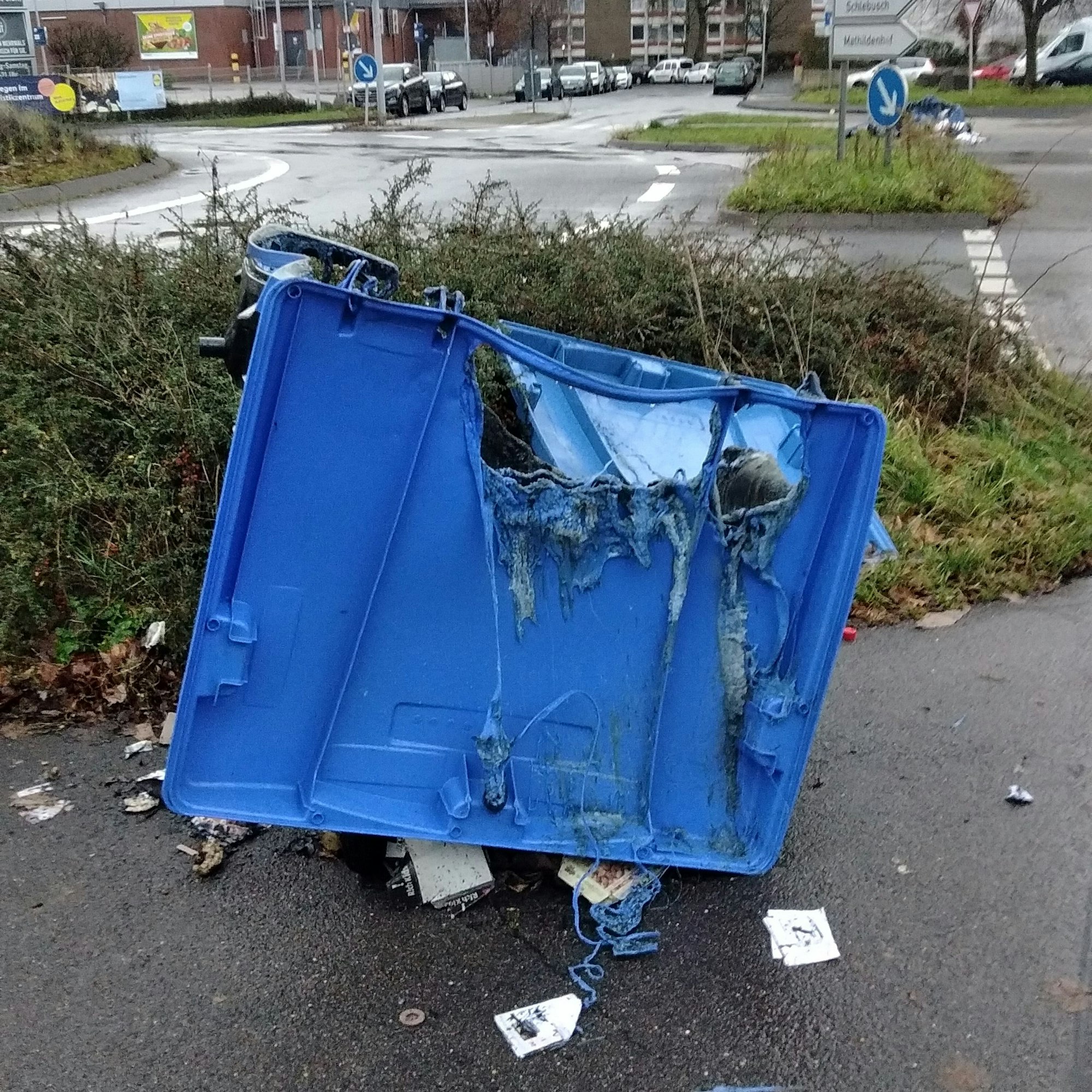 Ein zerstörter Altpapiercontainer steht vor einem Gebüsch am Straßenrand, Müll verteilt sich drum herum.