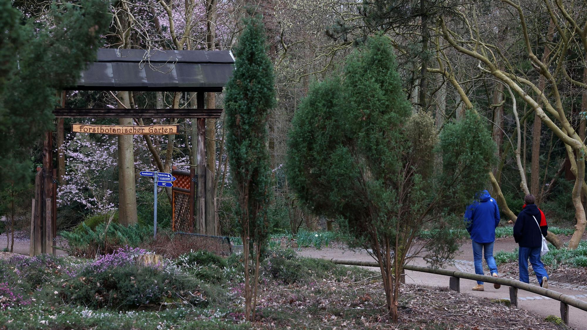 Park mit Eingangstor