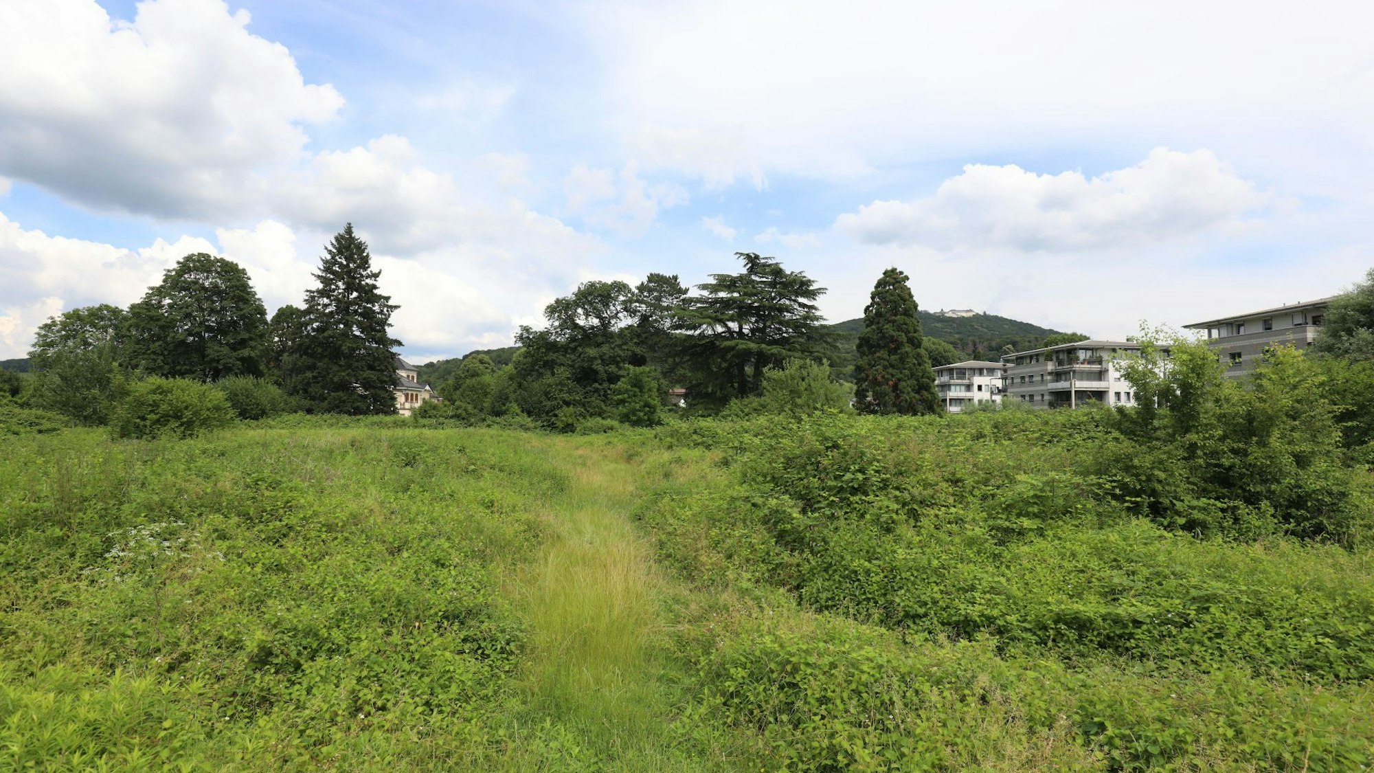 Auf dem Sumpfwegareal in Niederdollendorf, hier im Juni 2021, war ein großes Wohnbauprojekt geplant.