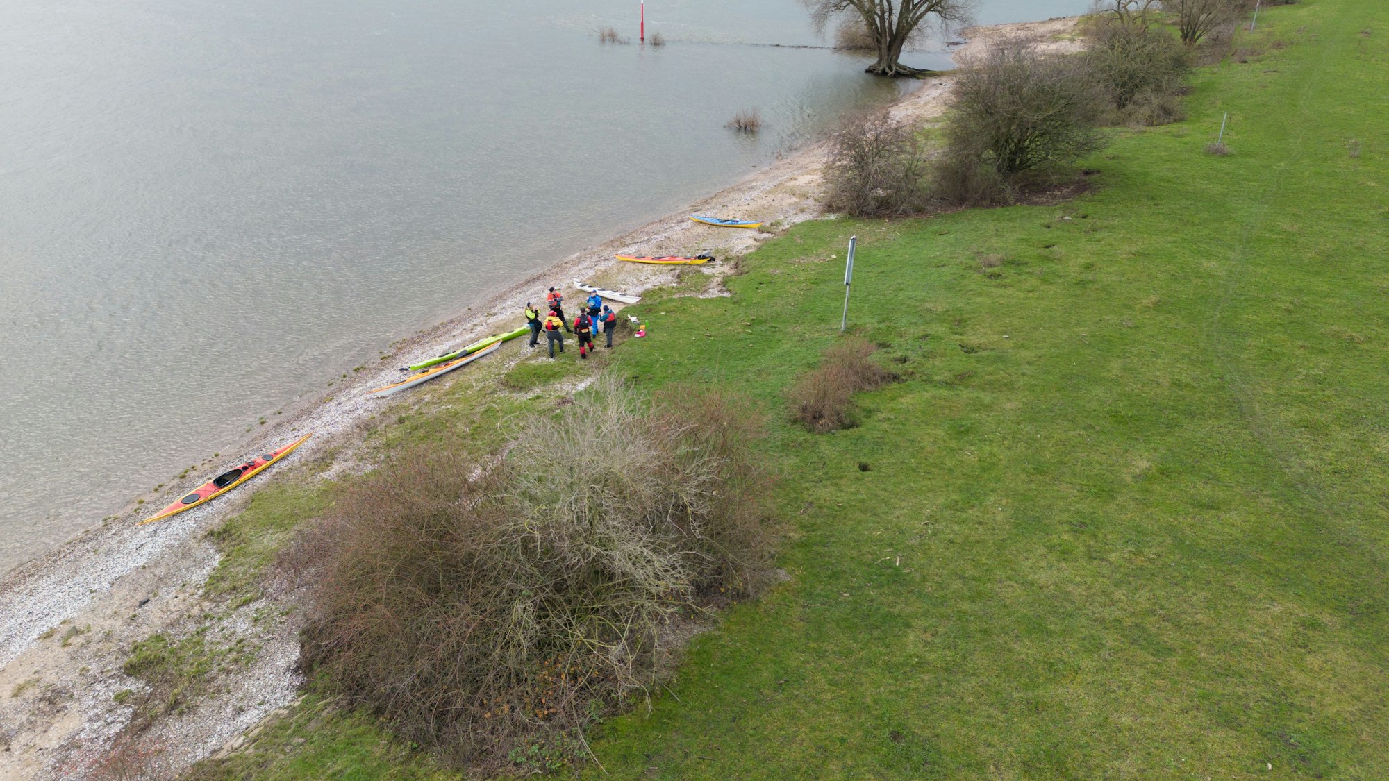 Kanuten stehen am Rheinufer, zu sehen aus der Vogelperspektive.