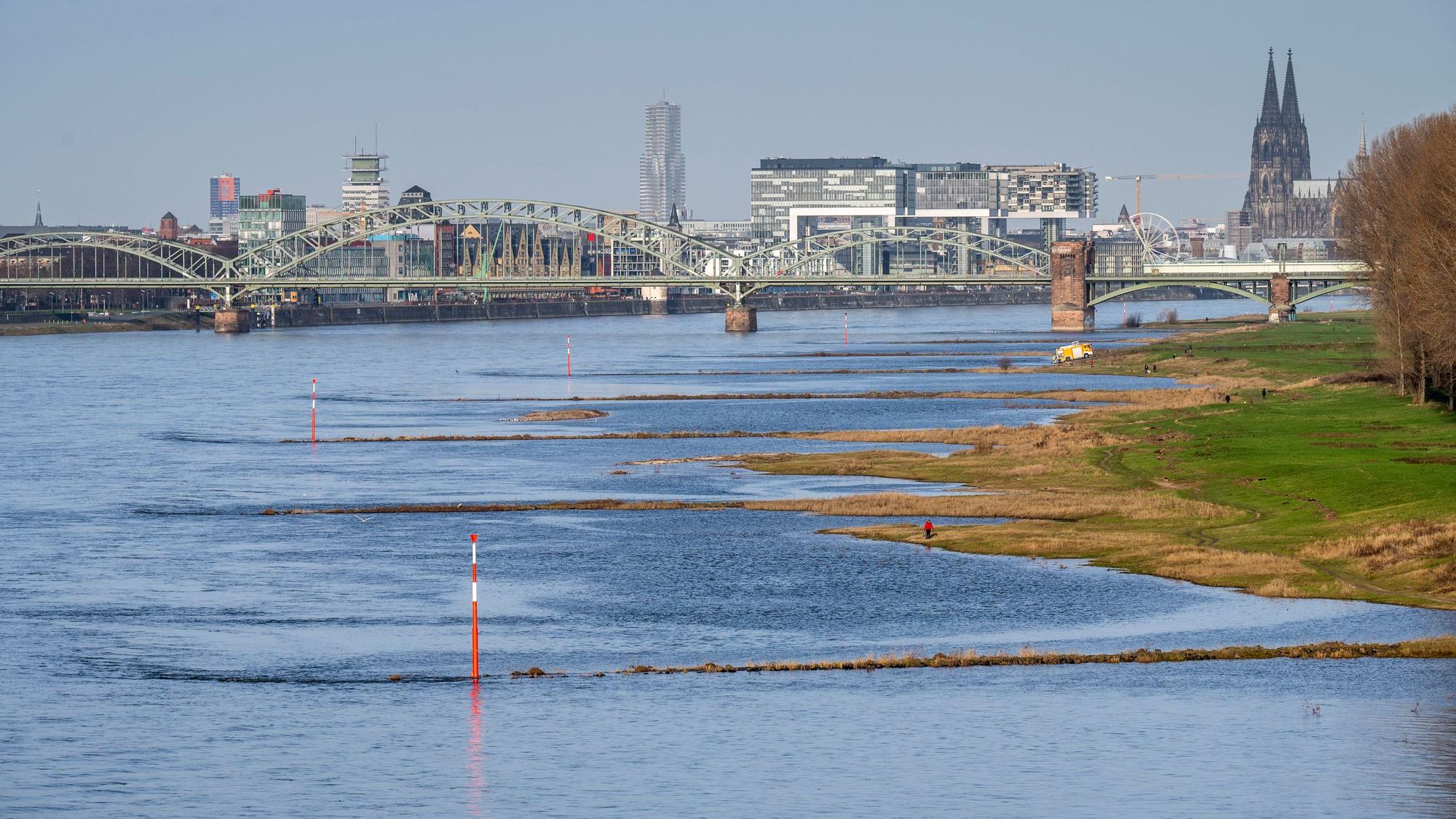 Blick auf den Rhein und die Buhnen an den Poller Wiesen in Köln.