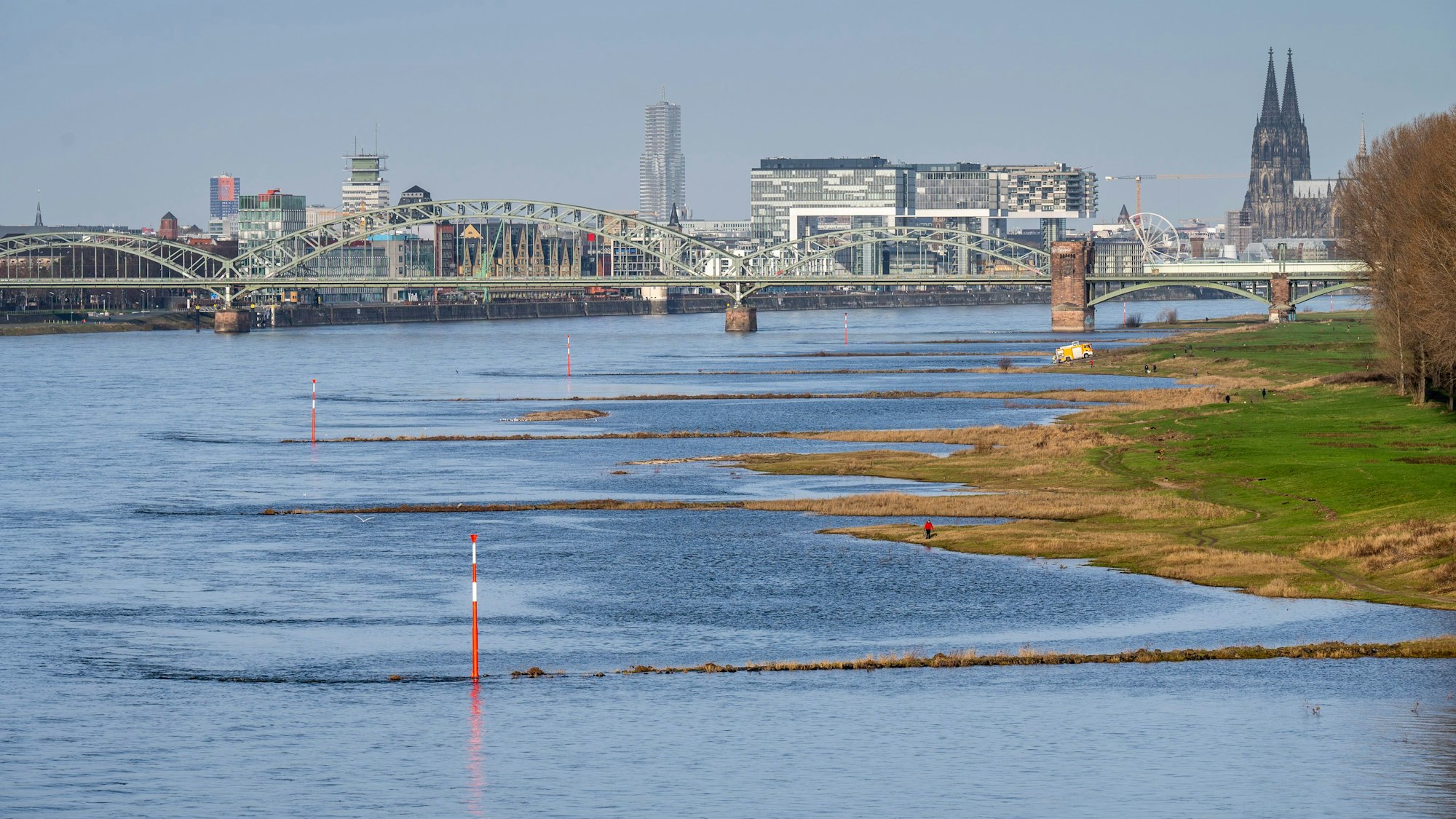 Blick auf den Rhein und die Buhnen an den Poller Wiesen in Köln.