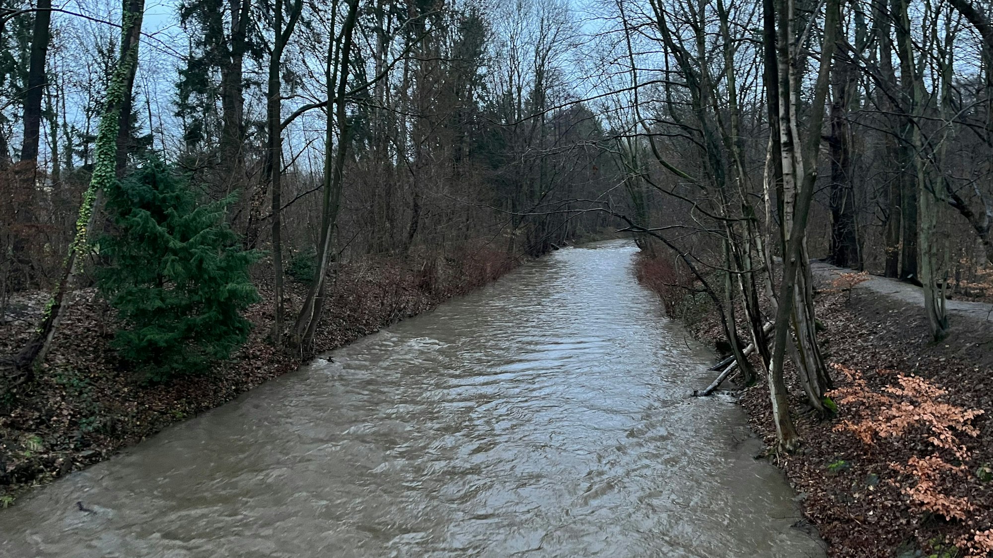 Blick auf die gut gefüllte Dhünn mit noch etwa einem Meter Abstand zum Fußweg.