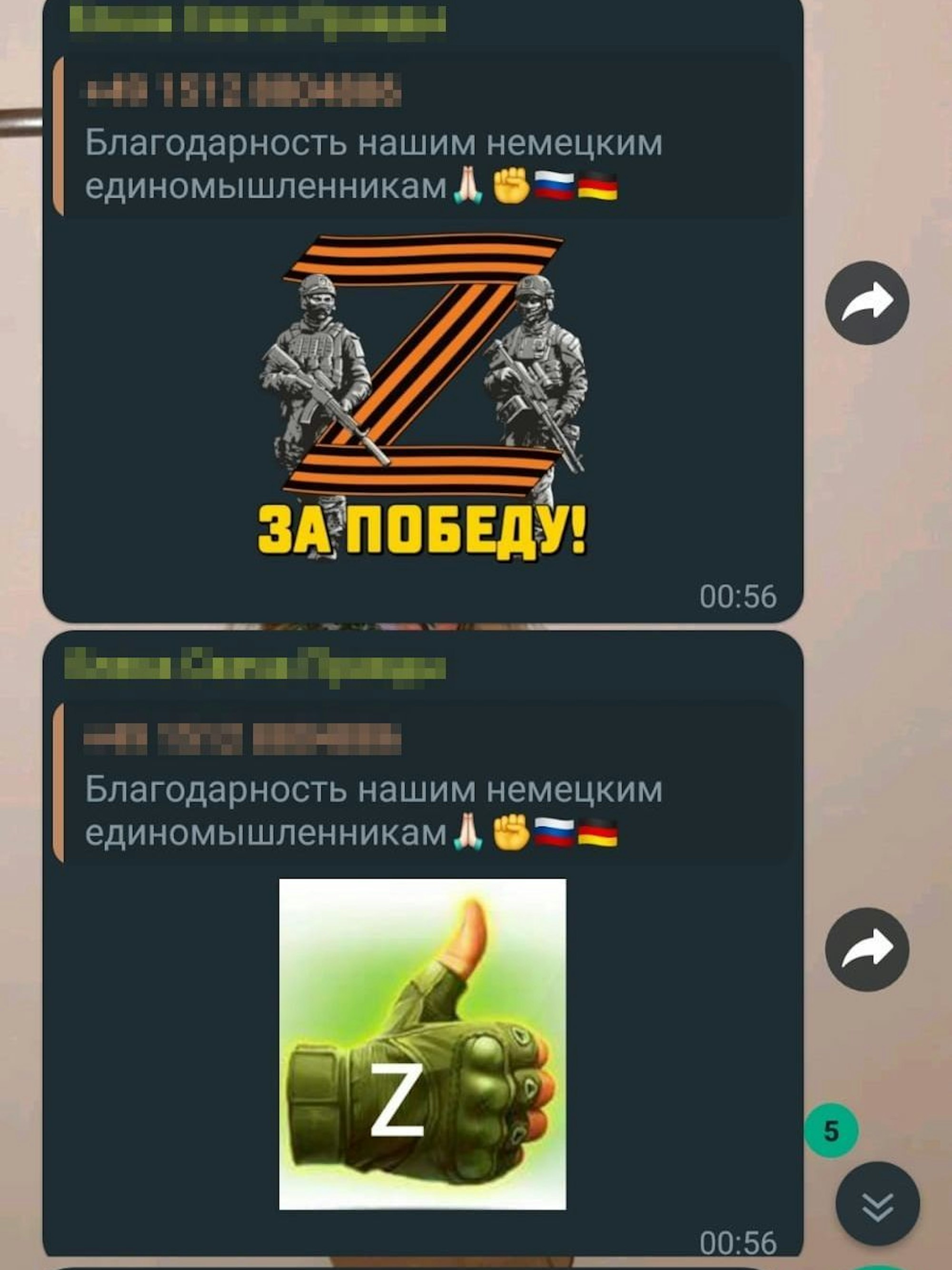 Elena Kolbasnikova postet regelmäßig Z-Zeichen in Social Media Gruppen