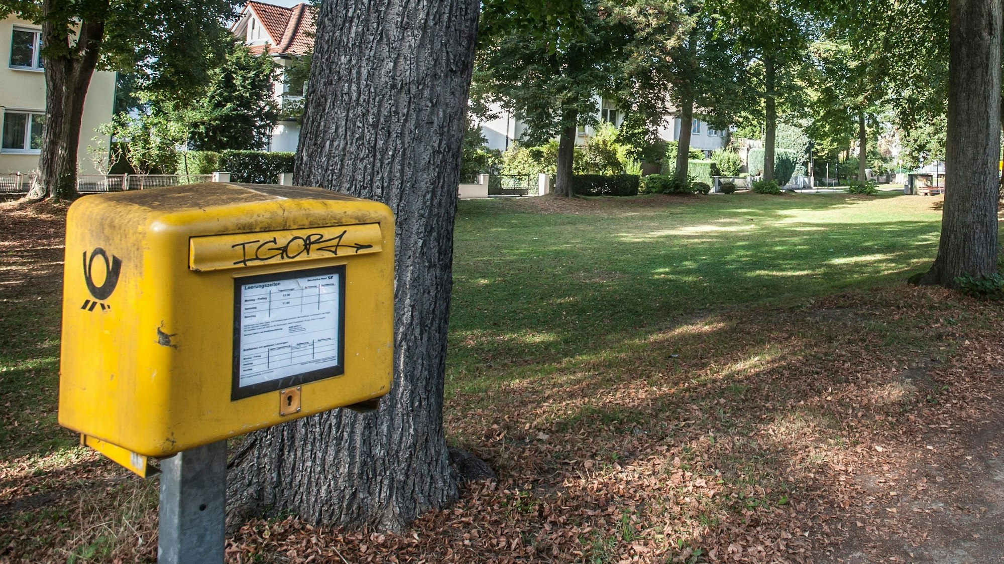 Ein gelber Briefkasten steht am Wegesrand einer Allee.
