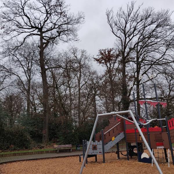 Das Wäldchen am Piratenspielpatz in Förstchen.