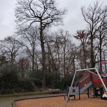 Das Wäldchen am Piratenspielpatz in Förstchen.