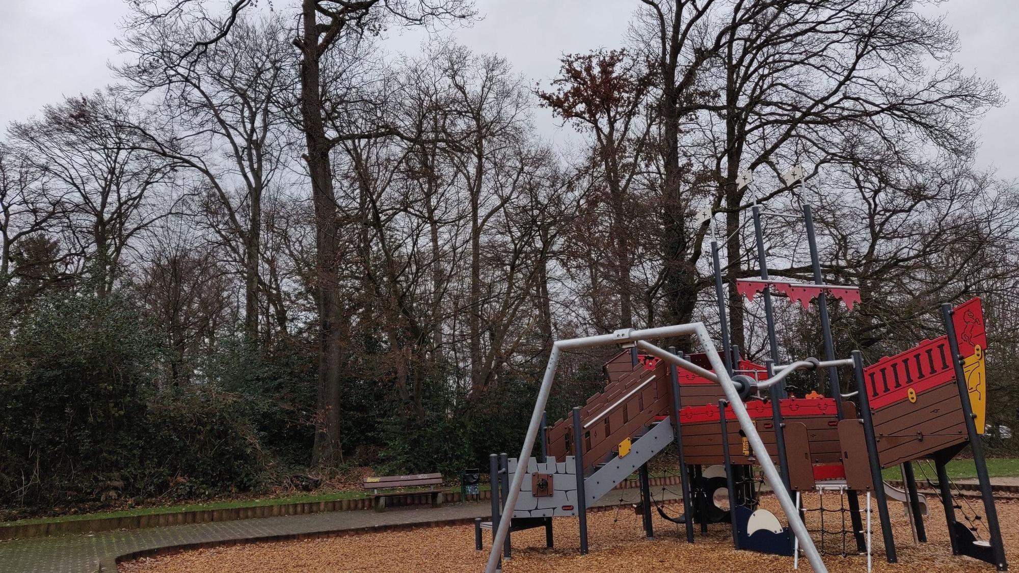 Das Wäldchen am Piratenspielpatz in Förstchen.