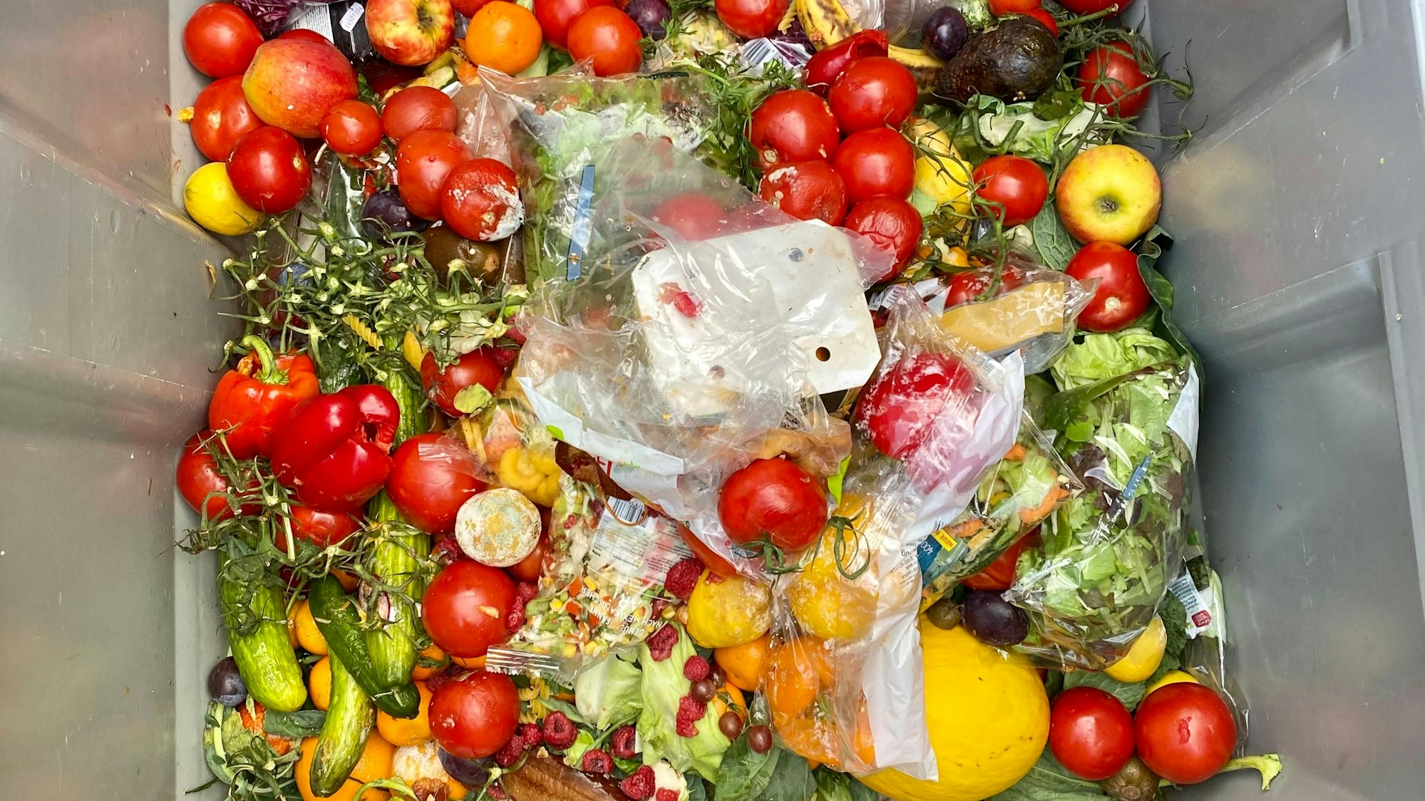 In einem Müllcontainer wird verdorbene Ware gesammelt.