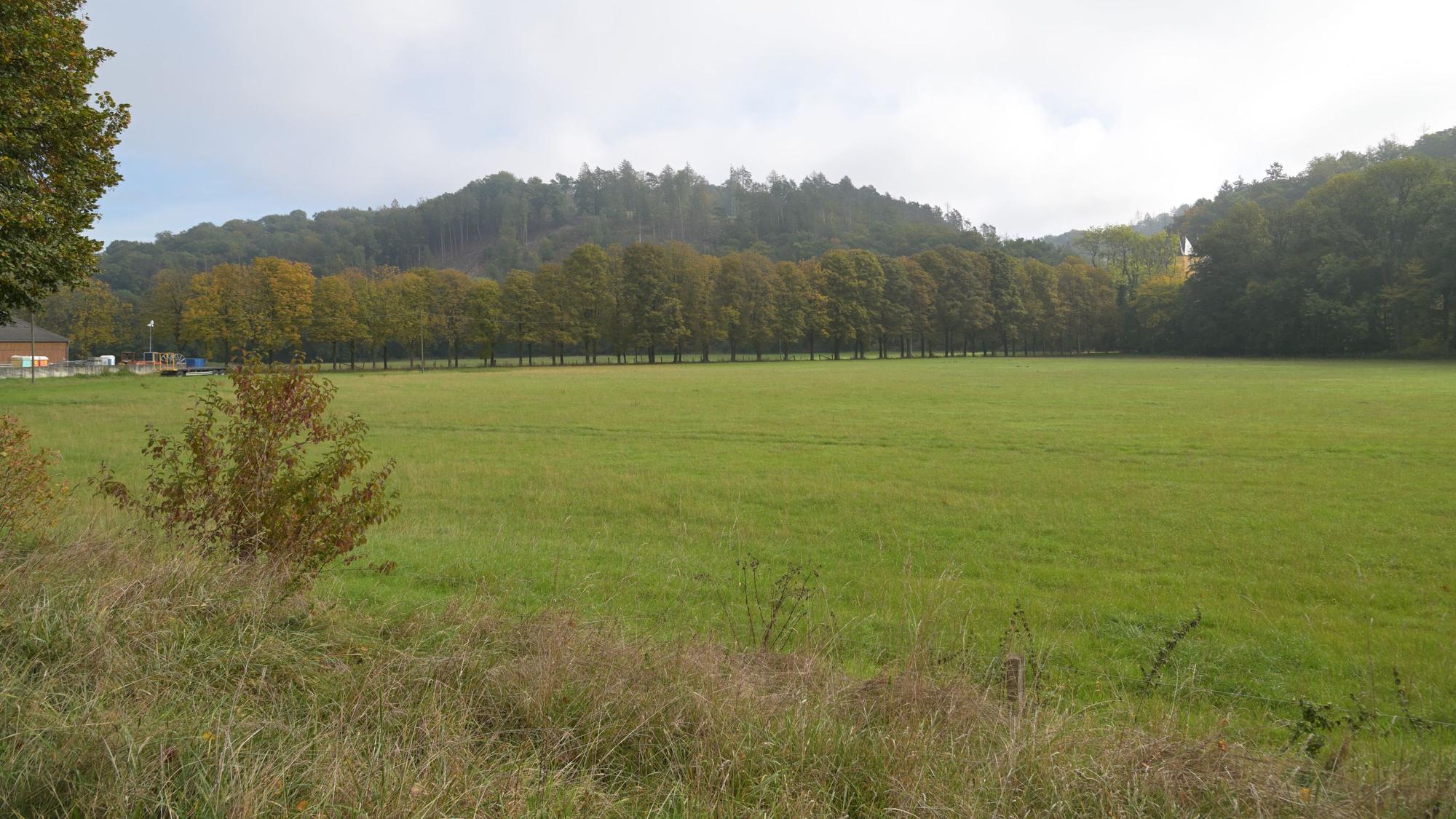 Eine grüne Wiese von Wald umrandet.