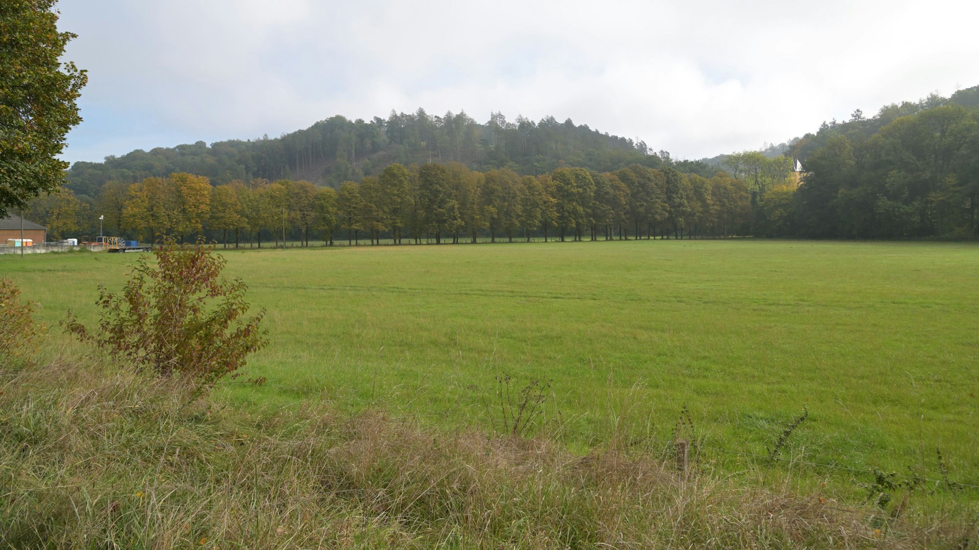 Eine grüne Wiese von Wald umrandet.