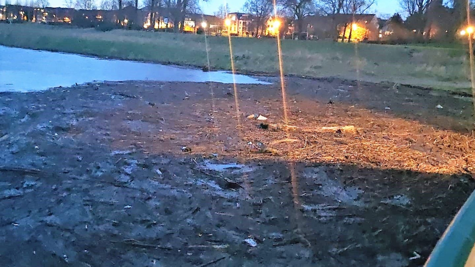 Treibgutteppich am Rheinufer, Blick vom Heck der Fähre.