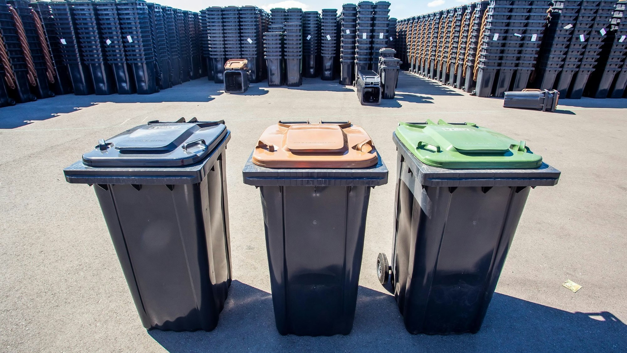 Schwarze, braune und grüne Mülltonnen stehen nebeneinander.