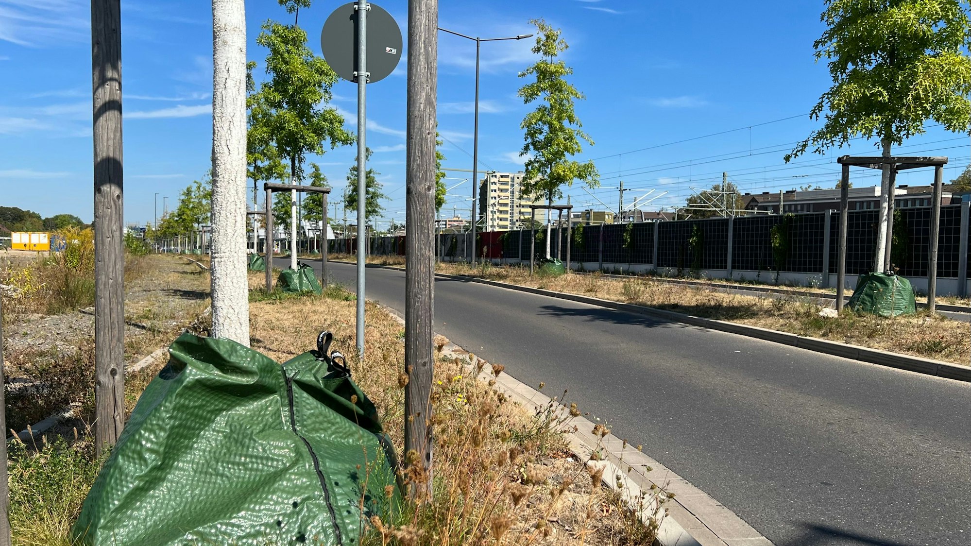 Bäume an der Europa-Allee in Opladen mit Schutzanstrich und Wassersäcken