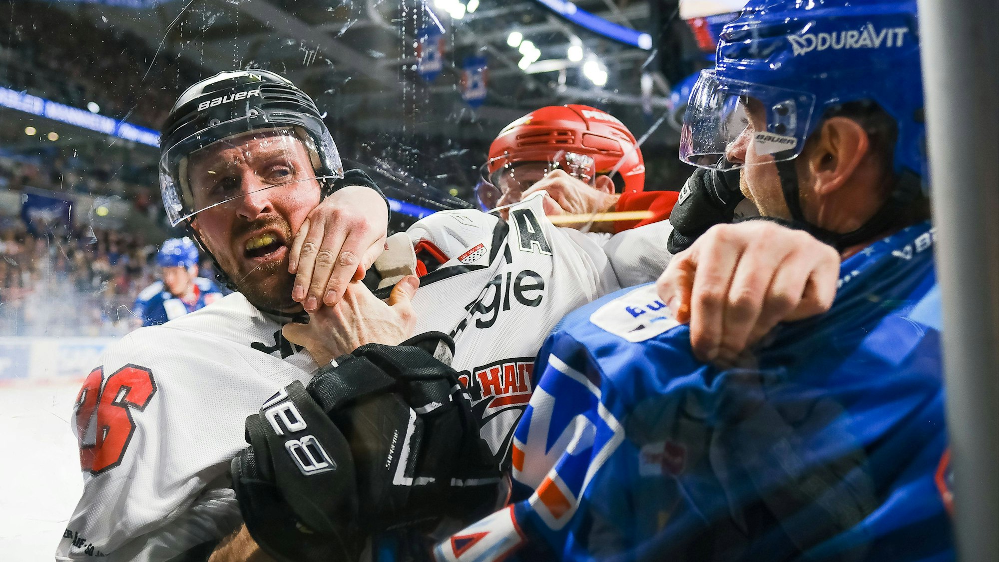 Streit zwischen David Mcintyre Koelner Haie, 26 und Jordan Szwarz Adler Mannheim, 14 , Adler Mannheim vs. Koelner Haie, Eishockey, Penny DEL, Saison 2022/2023, 13.01.2023, Adler Mannheim vs. Koelner Haie, Eishockey, Penny DEL, Spieltag 43. , Saison 2022/2023, 13.01.2023, Mannheim *** Dispute between David Mcintyre Koelner Haie, 26 and Jordan Szwarz Adler Mannheim, 14 , Adler Mannheim vs Koelner Haie, ice hockey, penny DEL, season 2022 2023, 13 01 2023, Adler Mannheim vs Koelner Haie, ice hockey, penny DEL, game day 43 , season 2022 2023, 13 01 2023, Mannheim Copyright: xEibner-Pressefotox/xMichaelxBermx EP_EER