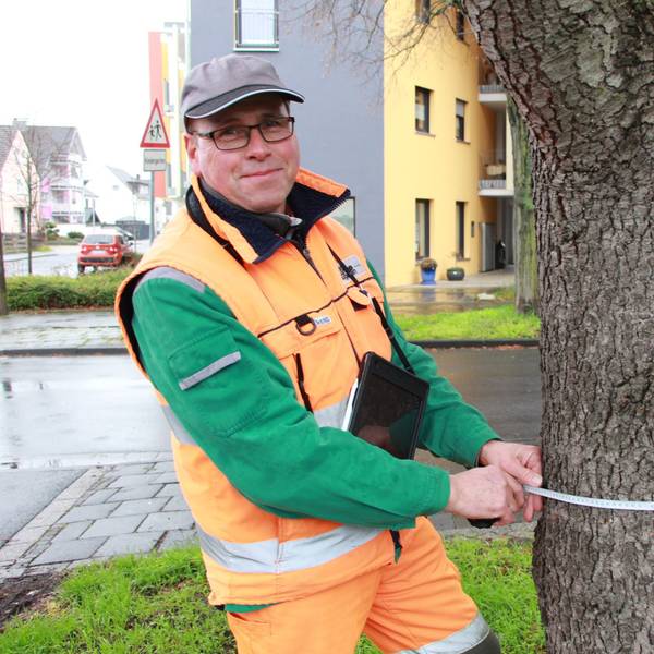 Ein Mann mit oranger Jacke hält ein Maßband um einen Baumstamm.