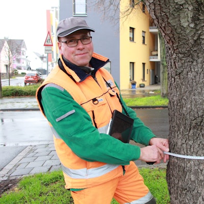 Ein Mann mit oranger Jacke hält ein Maßband um einen Baumstamm.