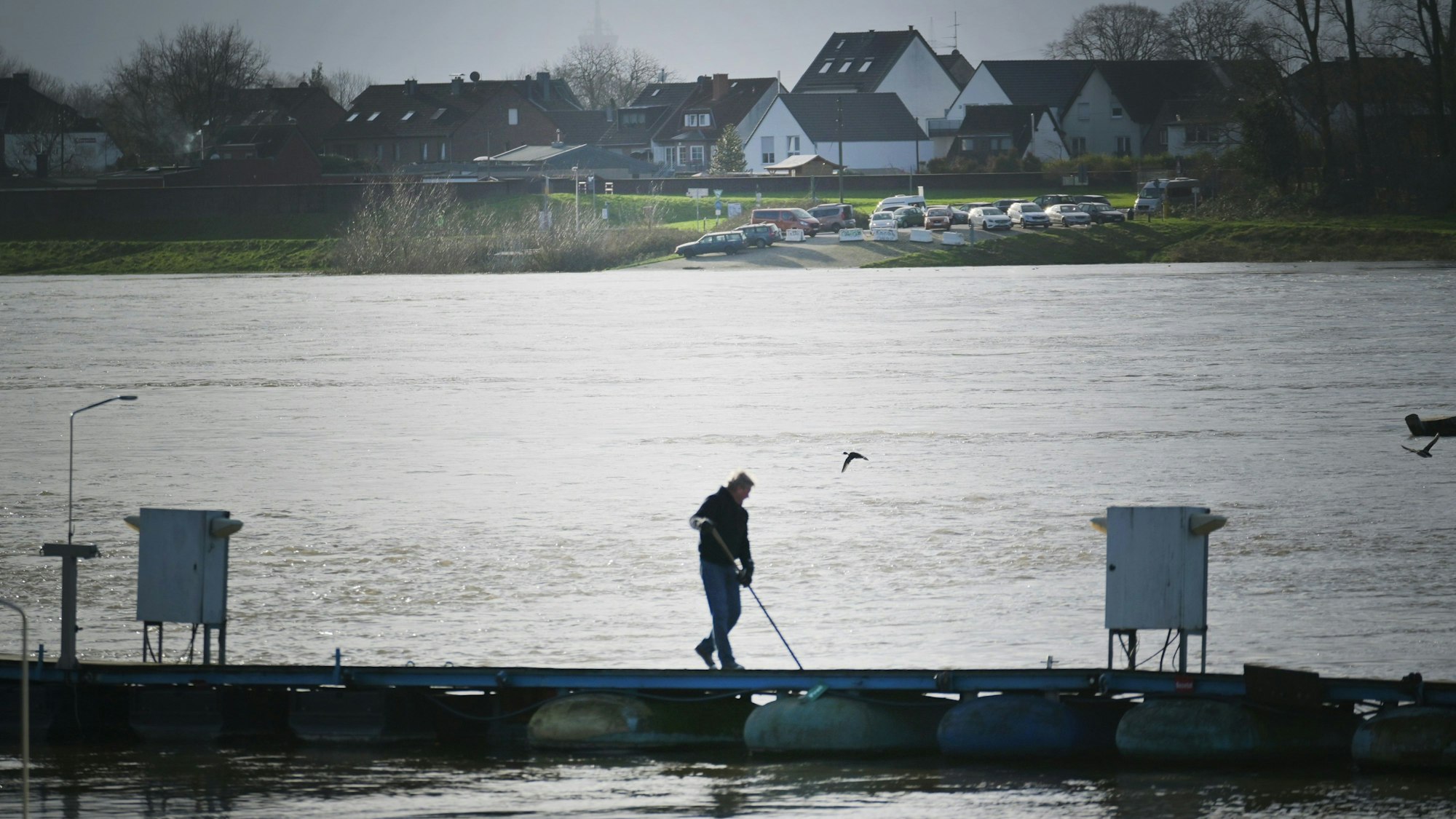 Hafenarbeiter befreien die Stege des Hitdorfer Yachtclubs von Treibgut. Im Hintergrund ist auf der anderen Rheinseite der Fähranleger in Köln-Langel zu sehen.