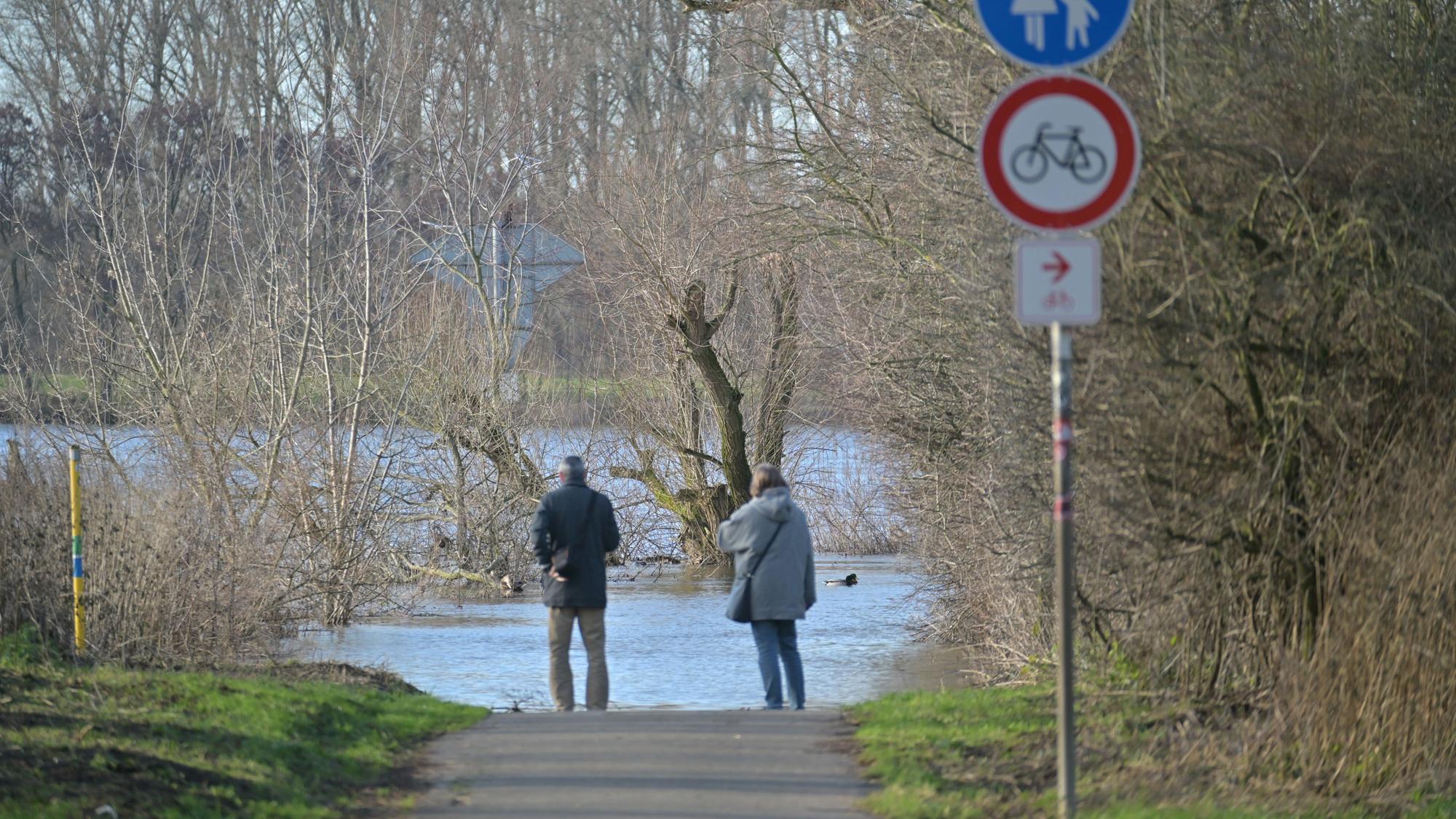 Ein Mann und eine Frau stehen auf einem Weg. Vor ihnen hat das Wasser des Rheins den Weg überflutet, Bäume ragen aus dem Wasser.