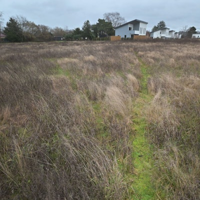 Bayer 04 will im Kurtekotten auf diesem Stück Heide bauen. Foto: Ralf Krieger