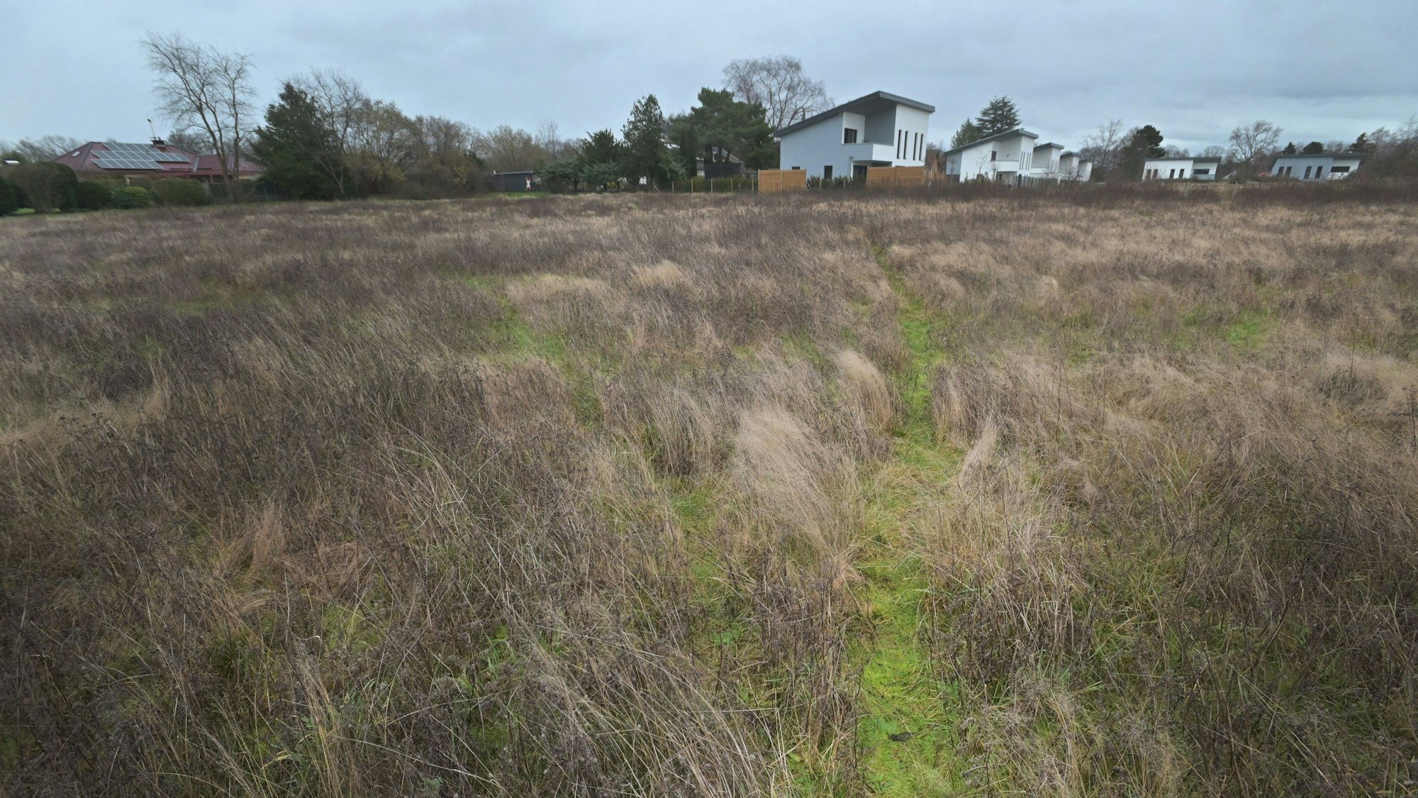 Heideland, hinten Einfamilienhäuser. Foto: Ralf Krieger