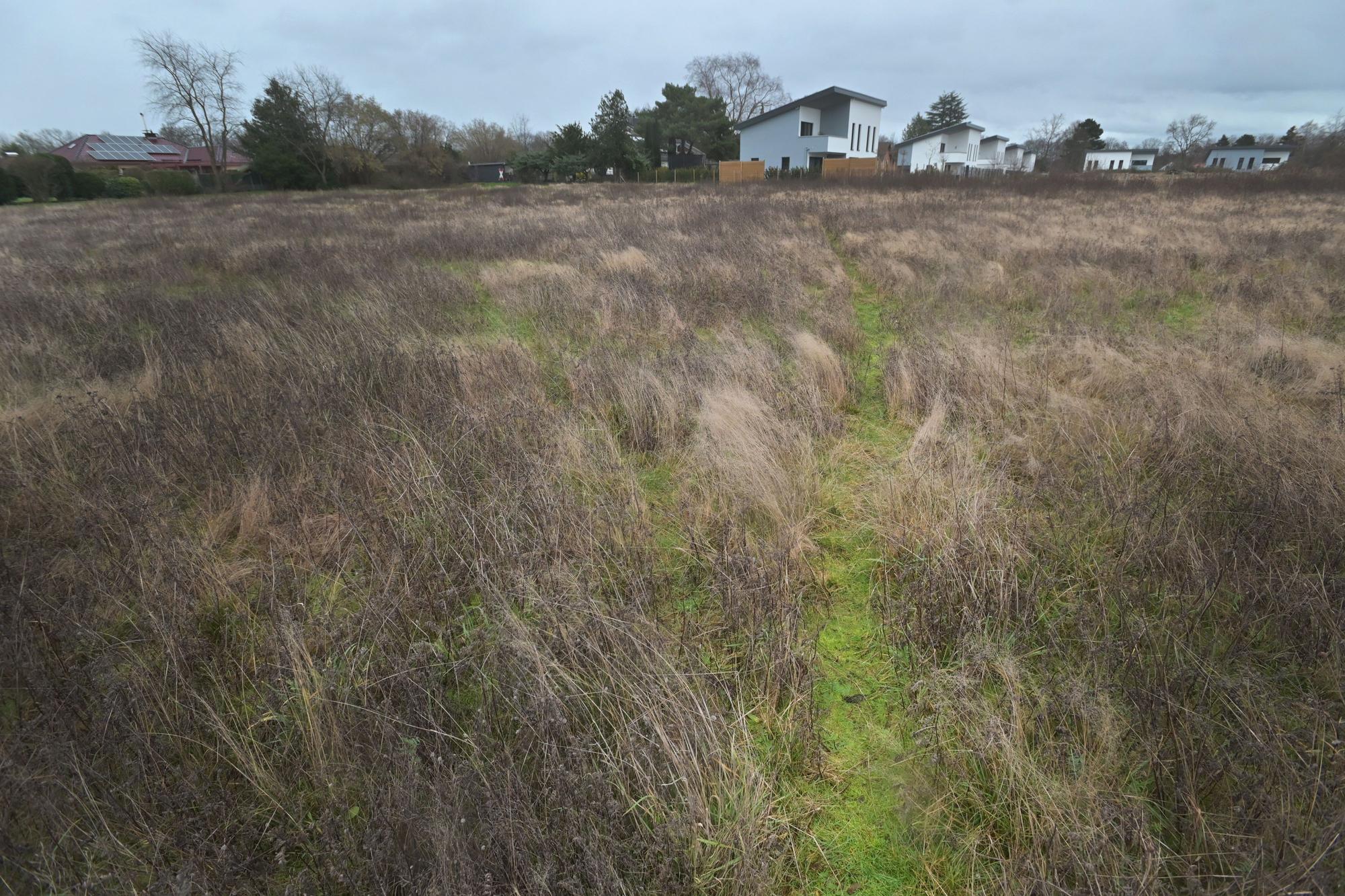 Bayer 04 will im Kurtekotten auf diesem Stück Heide bauen. Foto: Ralf Krieger