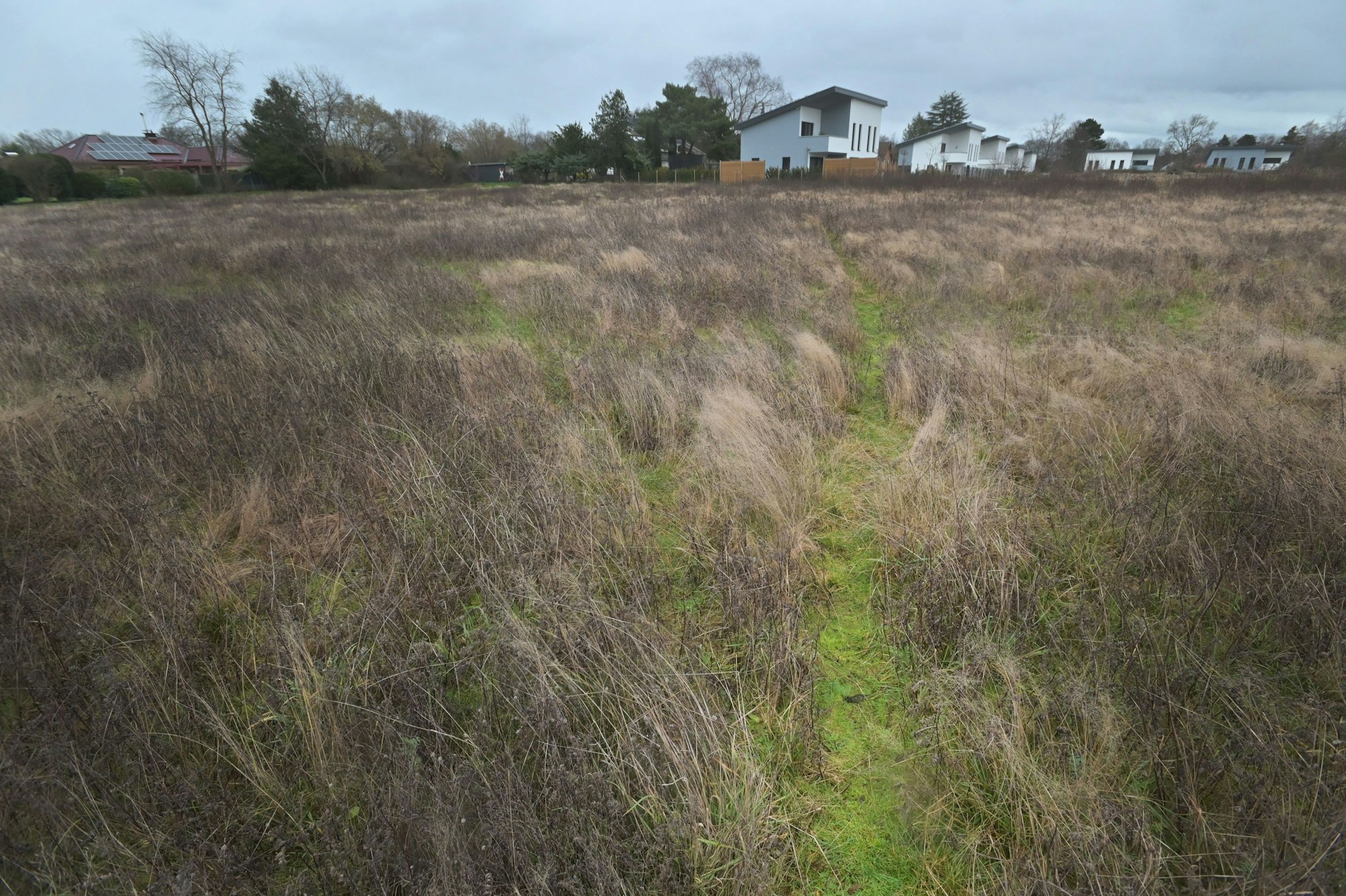 Bayer 04 will im Kurtekotten auf diesem Stück Heide bauen. Foto: Ralf Krieger
