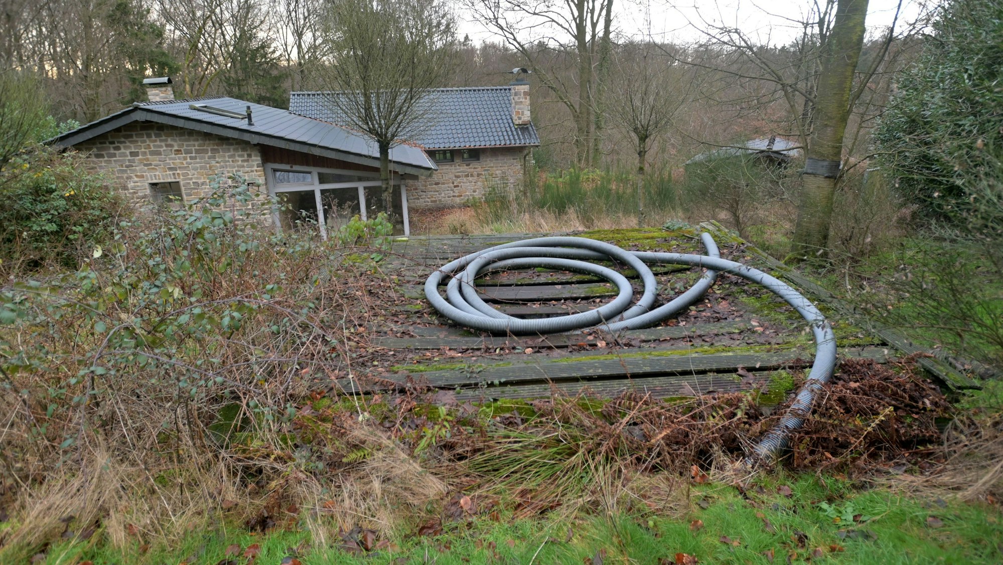Ein Haus steht auf einem verwucherten Grundstück, eine Bretterbude erhebt sich im Vordergrund.