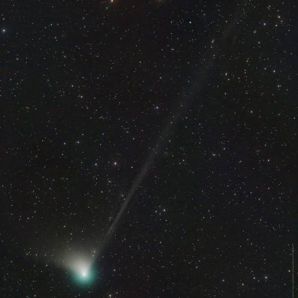 Ein Bild der Nasa aus dem Weltraum zeigt den Kometen, der einen grünen Schweif hinter sich herzieht, vor dem Sternenhimmel.