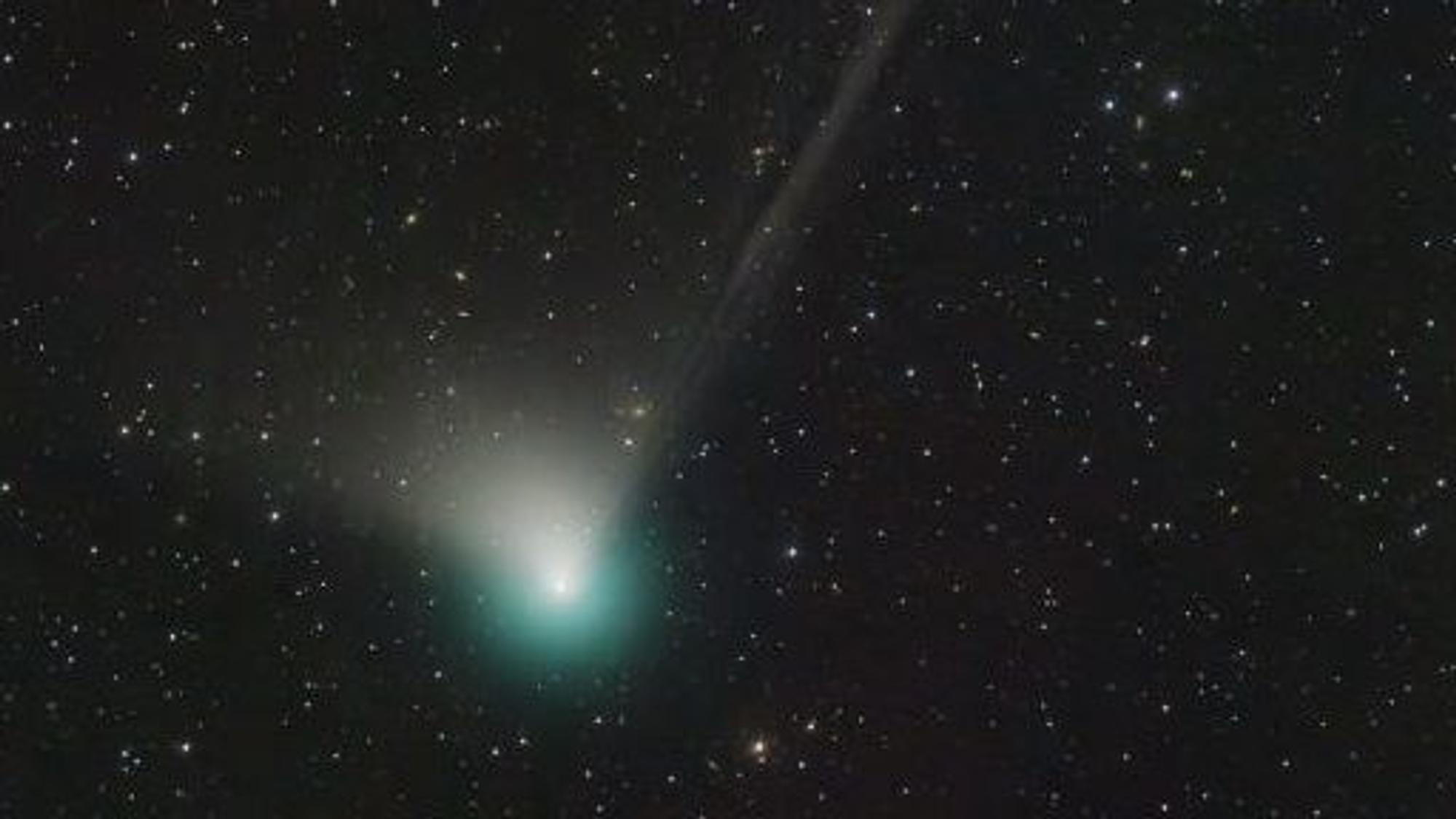 Ein Bild der Nasa aus dem Weltraum zeigt den Kometen, der einen grünen Schweif hinter sich herzieht, vor dem Sternenhimmel.